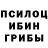 Псилоцибиновые грибы GOLDEN TEACHER Lisa Kirillova